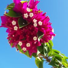 Profile image of and_vq7p