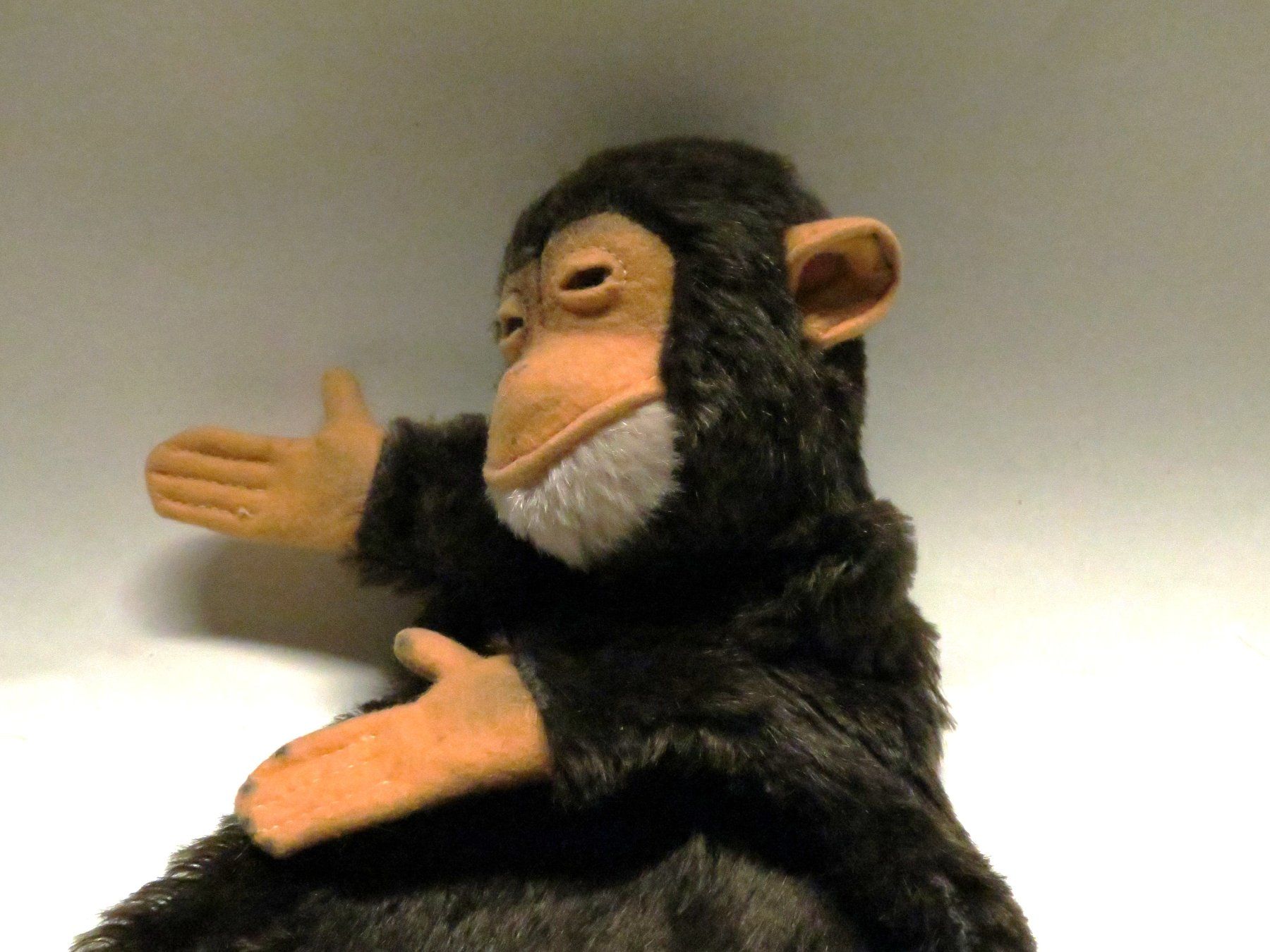 Steiff Giocattoli: Steiff Affe -Handpuppe – Usato da Walenstadt venduto da apropo 5