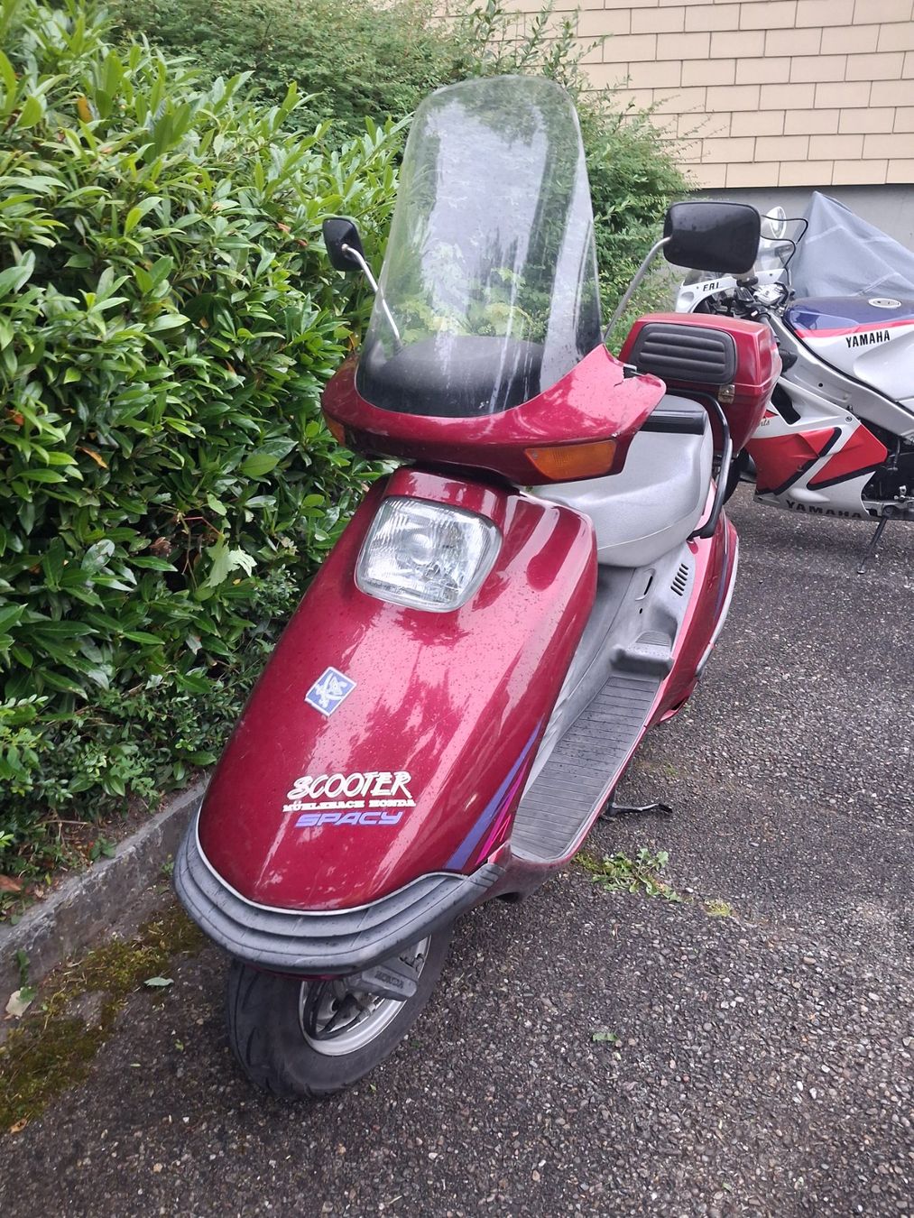 Honda Scooter: Honda Spacy 125 JF03 1996 – Usato da Hochfelden venduto da Hof8571 1