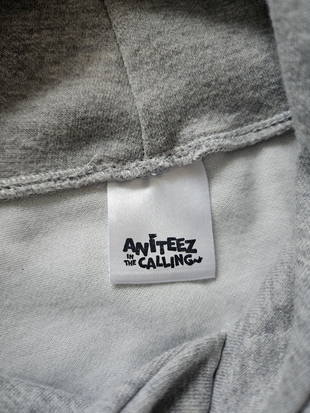 Maglioni & Felpe: Ateez Aniteez in the Calling Hoodie – Usato da Au ZH venduto da Lattee01 2