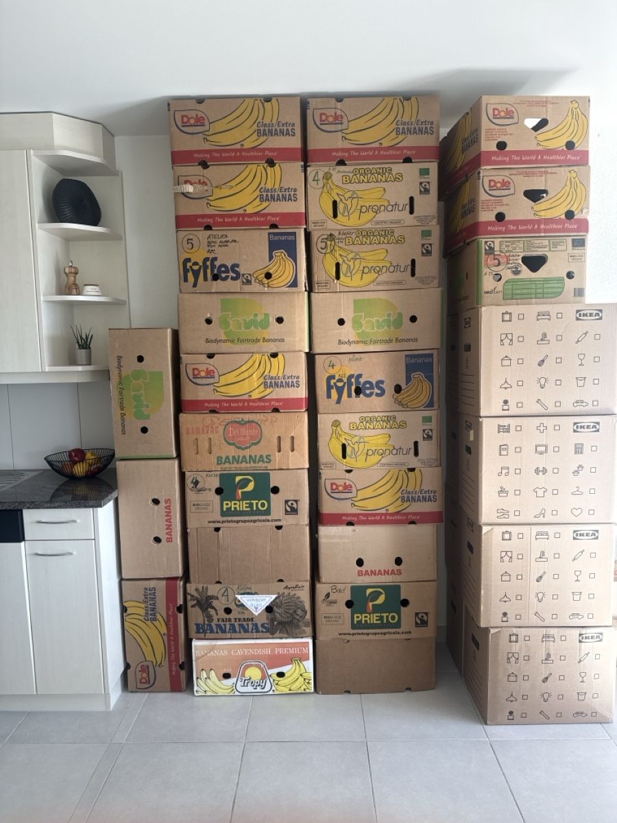 Cartons: Umzugskisten – D'occasion à Männedorf par Raffaela-123