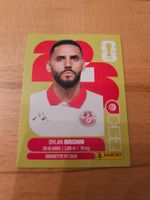 Panini WM 2026 TUN 8