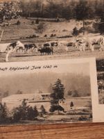 antike, rare Karte "Rägiswald"
