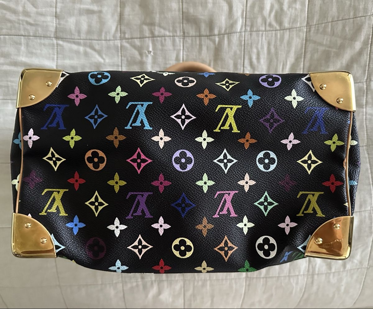 Louis Vuitton Borse: Louis Vuitton Speedy 30 Limited Edition – Nuovo (secondo la descrizione) da Zürich venduto da Nomase10. 3