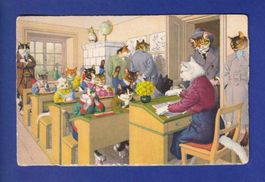 CHAT - Chat humanisés