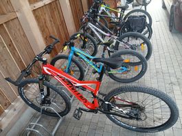 Mountainbike Carbon Fully Specialized