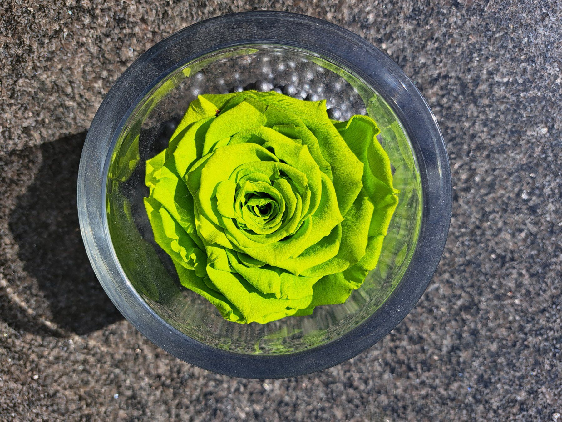 Tutte le decorazioni: Konservierte Rose im Glas, Grün – Usato da Sennhof venduto da chaoscrack 1