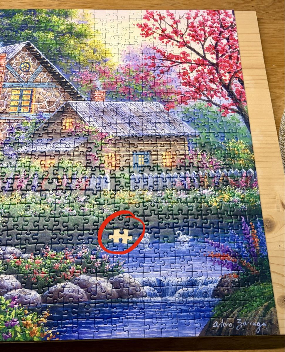 Ravensburger Puzzle: Puzzle, 1000 Teile – Usato da Reinach BL venduto da SchnaeppchenScout 6