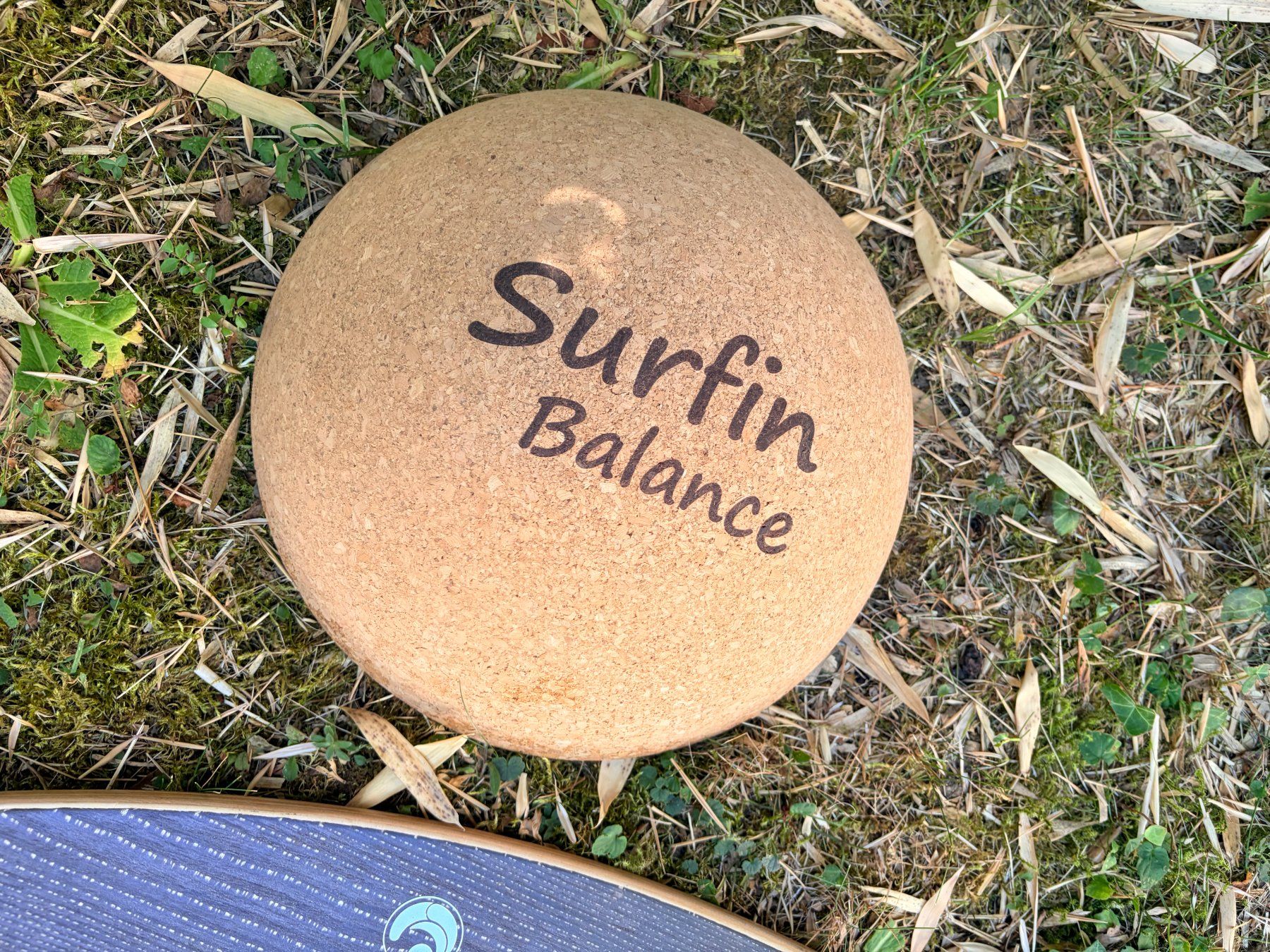 Hometrainer: Surfin Balance Board das Original – Usato da Männedorf venduto da andreamaria01 3