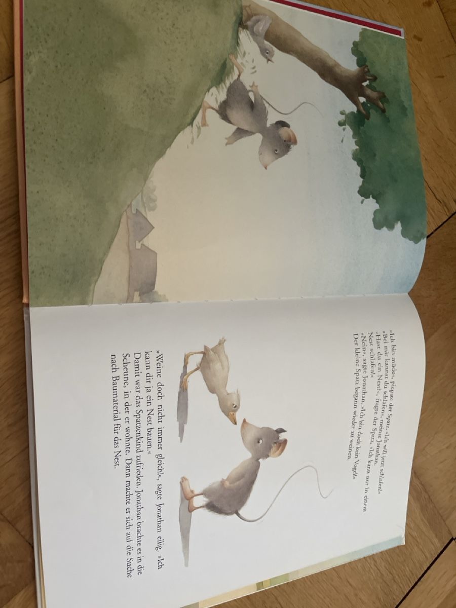 Bücher: Jonathan Spatzenvater Kinderbuch Ingrid Ostheeren Agnes Math – Gebraucht aus Bern von ste_skb2 3