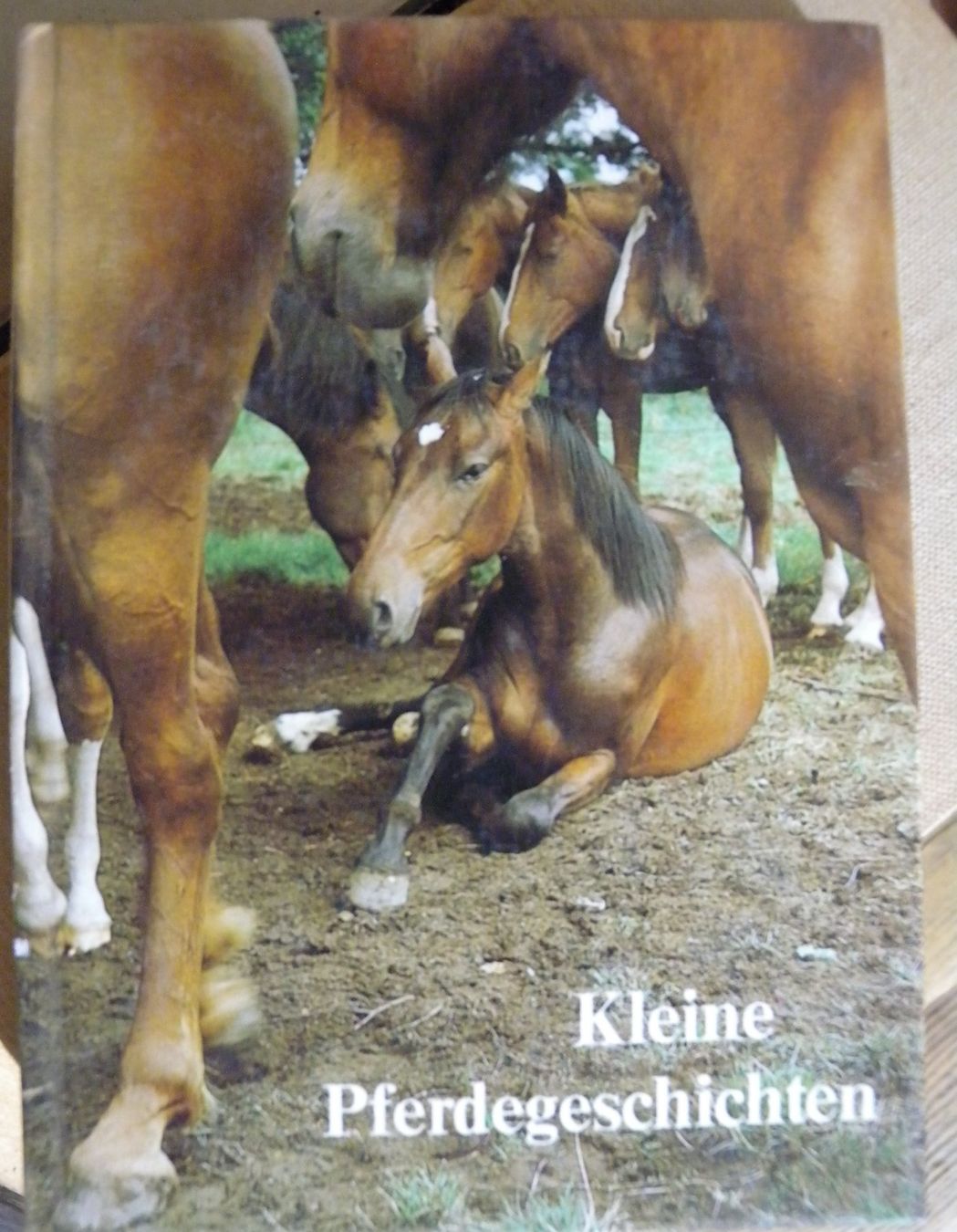 Libri: Pferdegeschichten von les roselets – Usato da Hauenstein venduto da Danbach