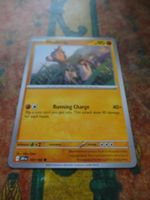 POKEMON  Mudbray    I  DRI EN  107/182   HP90   2025