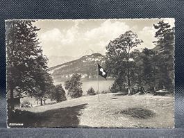 Rütliwiese