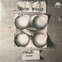 Satin Whale - Desert Places LP 1974. NEU/OVP