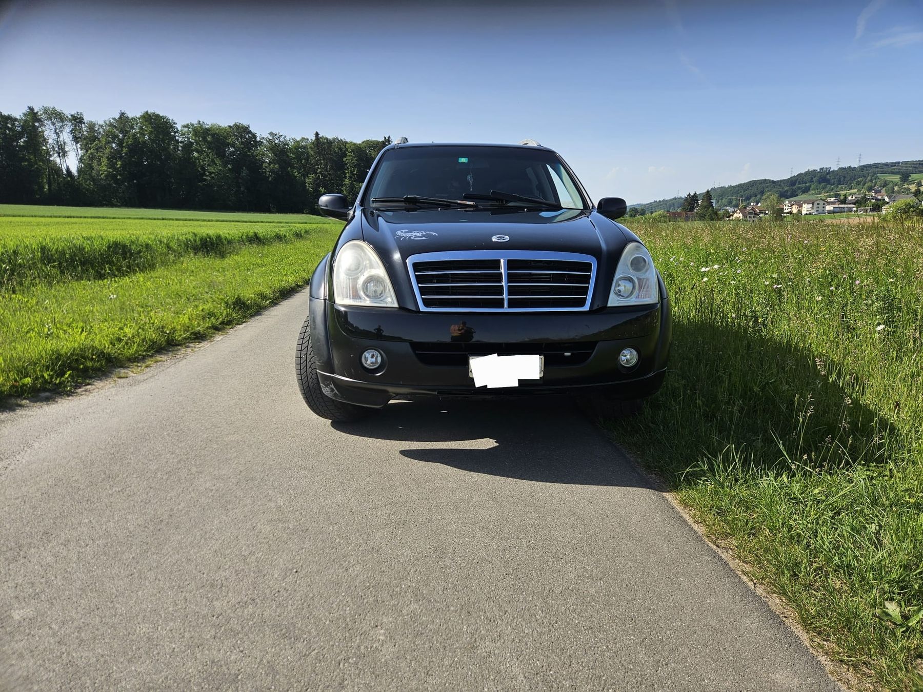 Ssangyong Automobili: SsangYong Rexton – Usato da Unterkulm venduto da NHL_92 1