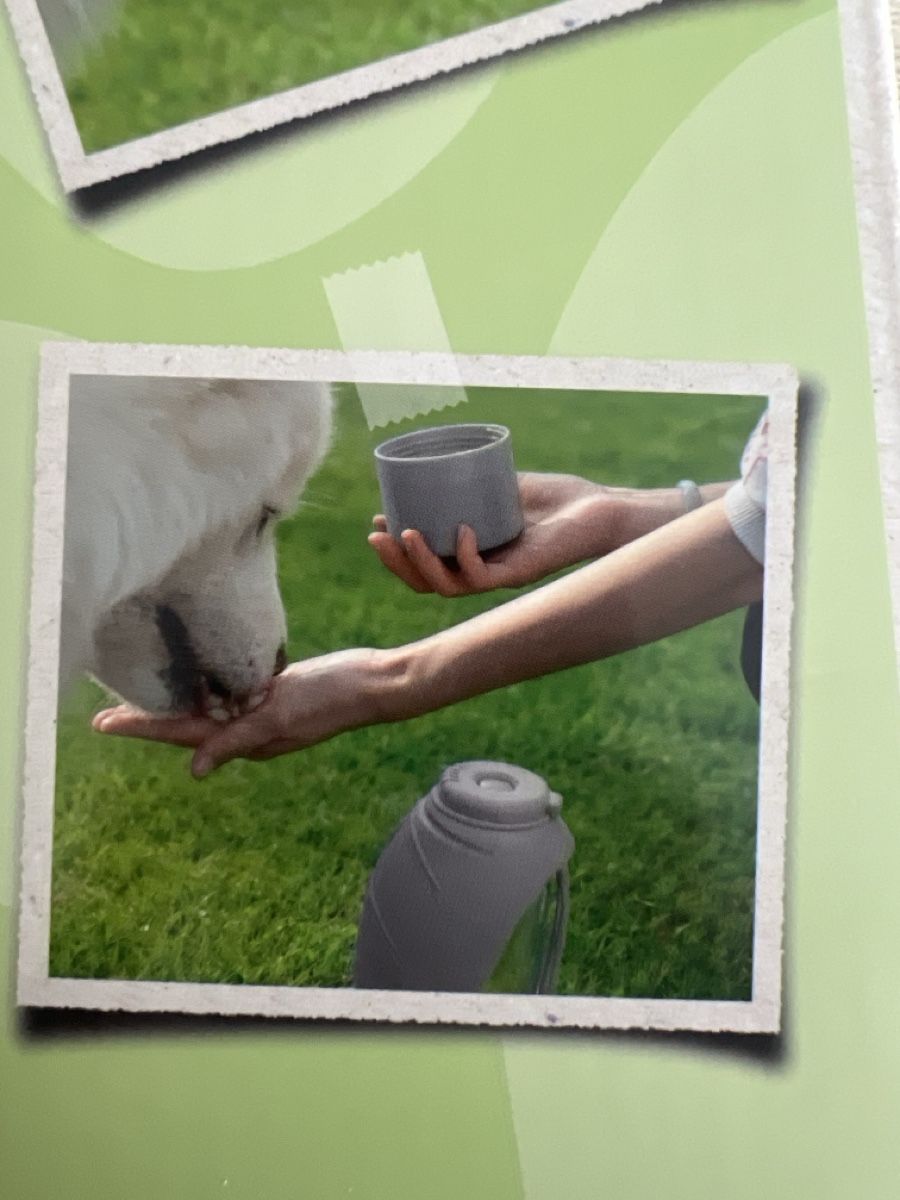 Borracce & Thermos: Hundetrankflasche 2in1 600ml neu – Nuovo e nell'imballaggio originale da Villmergen venduto da Elcus7 3