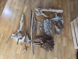 Holzstöcke, Wurzeln & Kork für Terrarium 