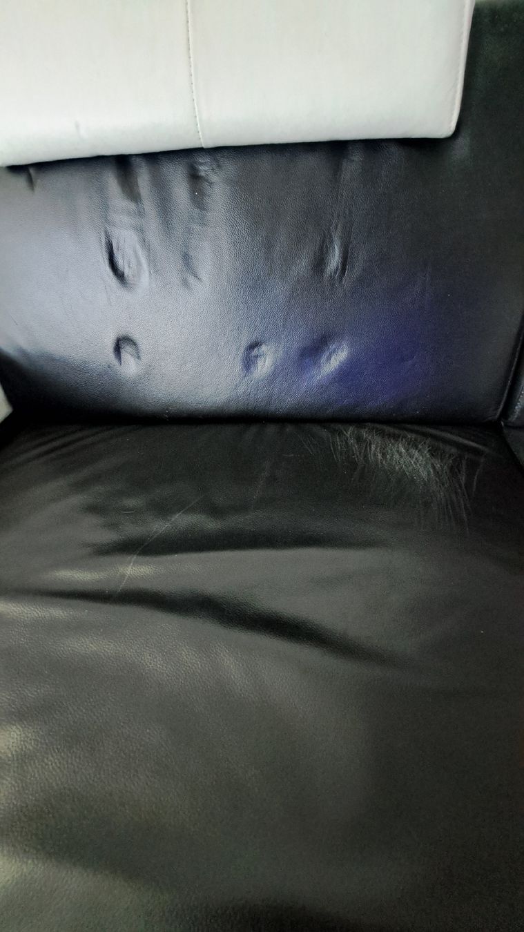 Sofas: Leder Garnitur – D'occasion à Wildegg par miasofanis 4