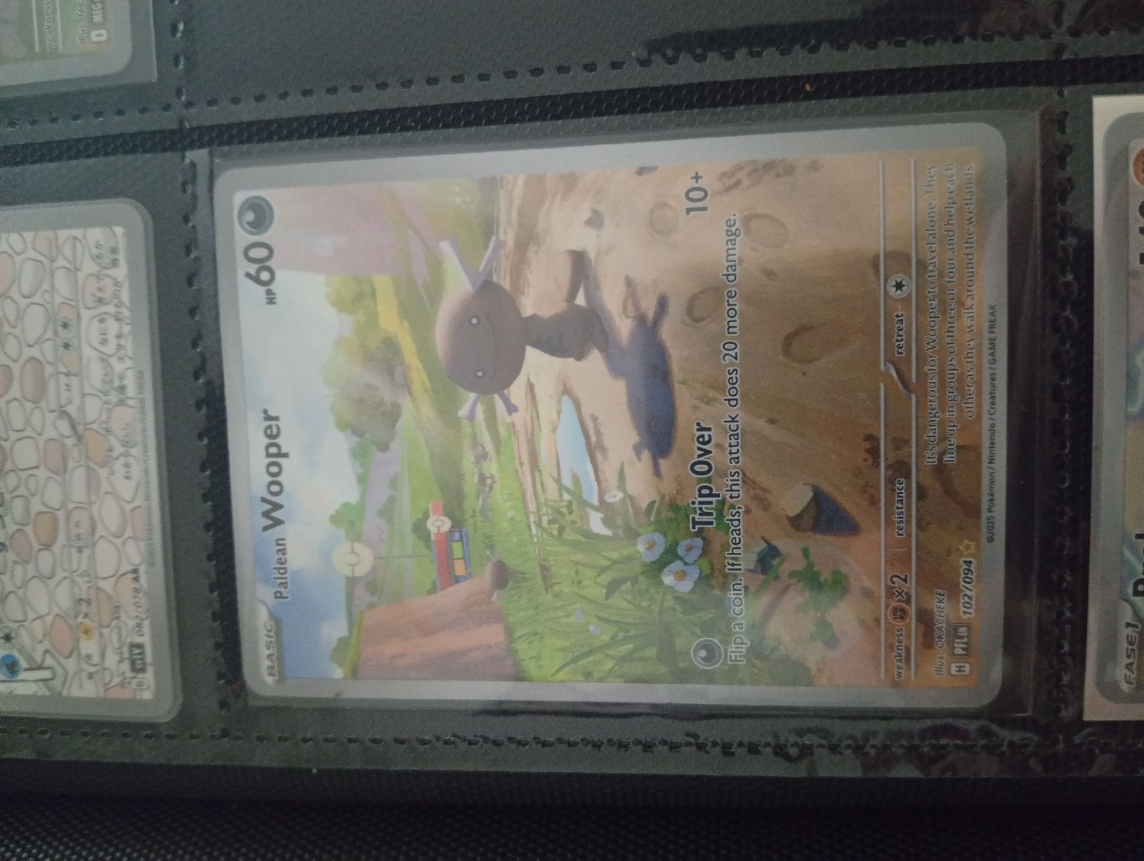 Pokémon Carte collezionabili: full art IR paldean wooper/probopass/exeggutor – Usato da Cadenazzo venduto da kev_sb77 2