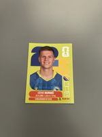 Panini Sticker Dzenis Burnic BIH 14 