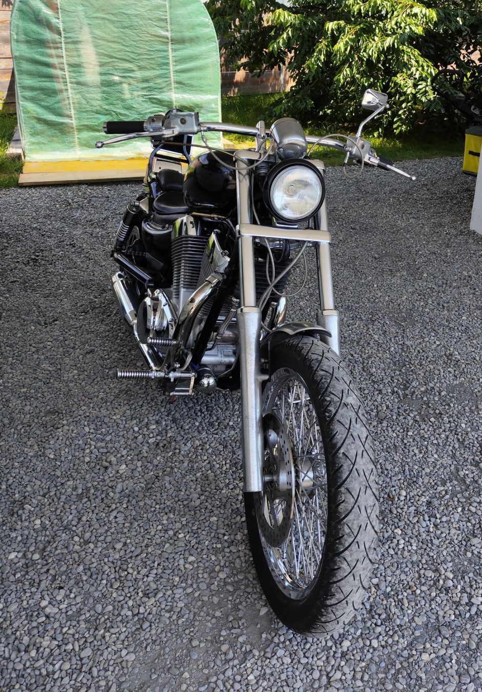 Chopper: Suzuki intruder VS 1400 GLP, Chopper, Bobber, 4Gang – Usato da Safenwil venduto da Bibolo 2
