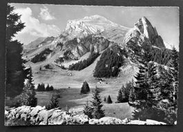 Auf GAMPLÜT (Obertoggenburg) mit Schafberg