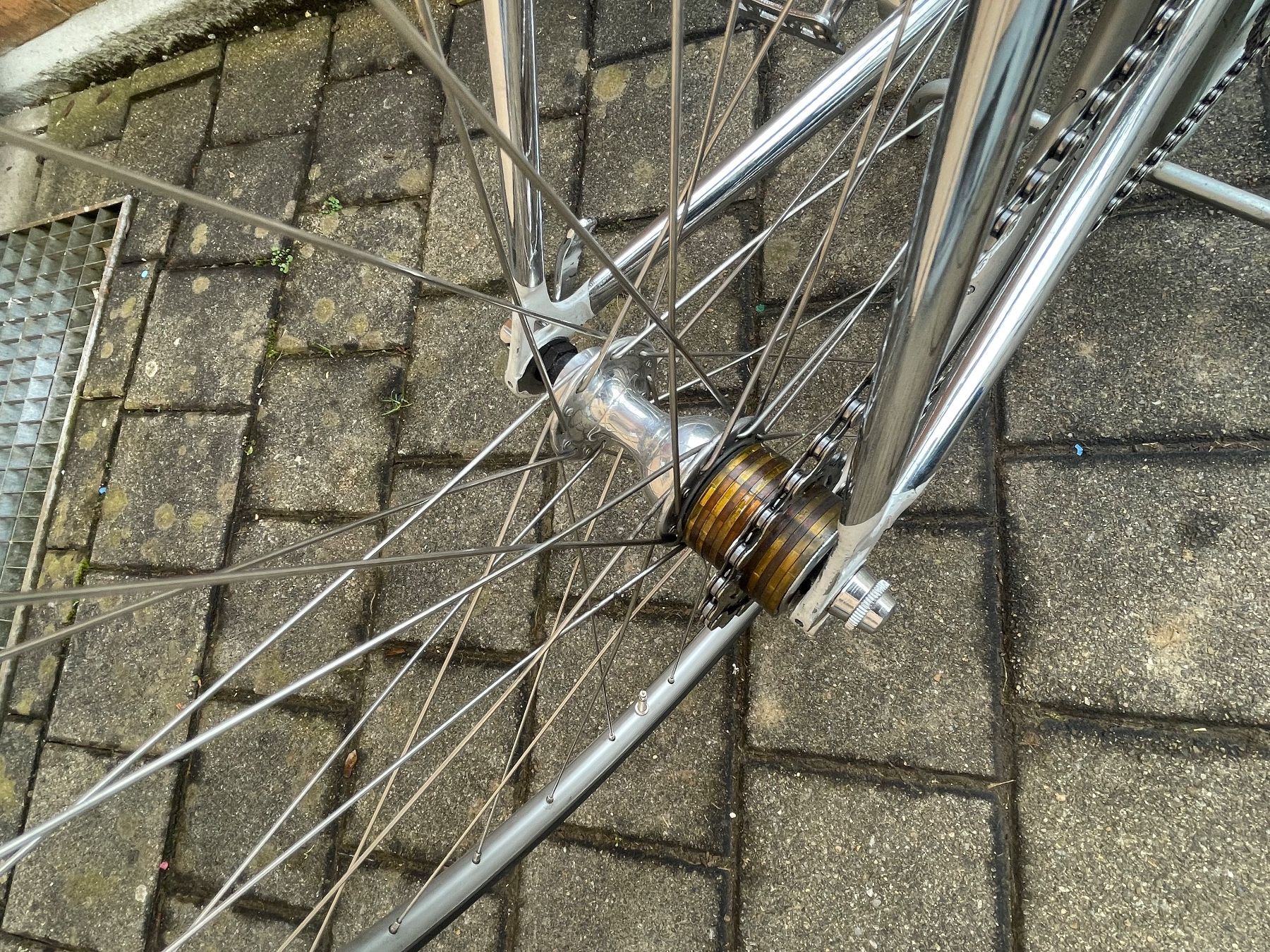 Colnago Biciclette: Colnago Rennrad Campagnolo – Usato da Dietikon venduto da sorry.7000 5