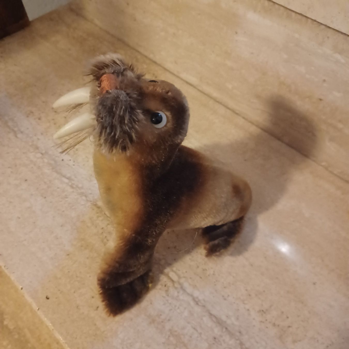 Steiff Giocattoli: Steiff Wallross 18 cm gross um 1960 – Usato da Abtwil SG venduto da luupsy