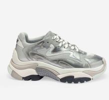 Ash Sneaker 36