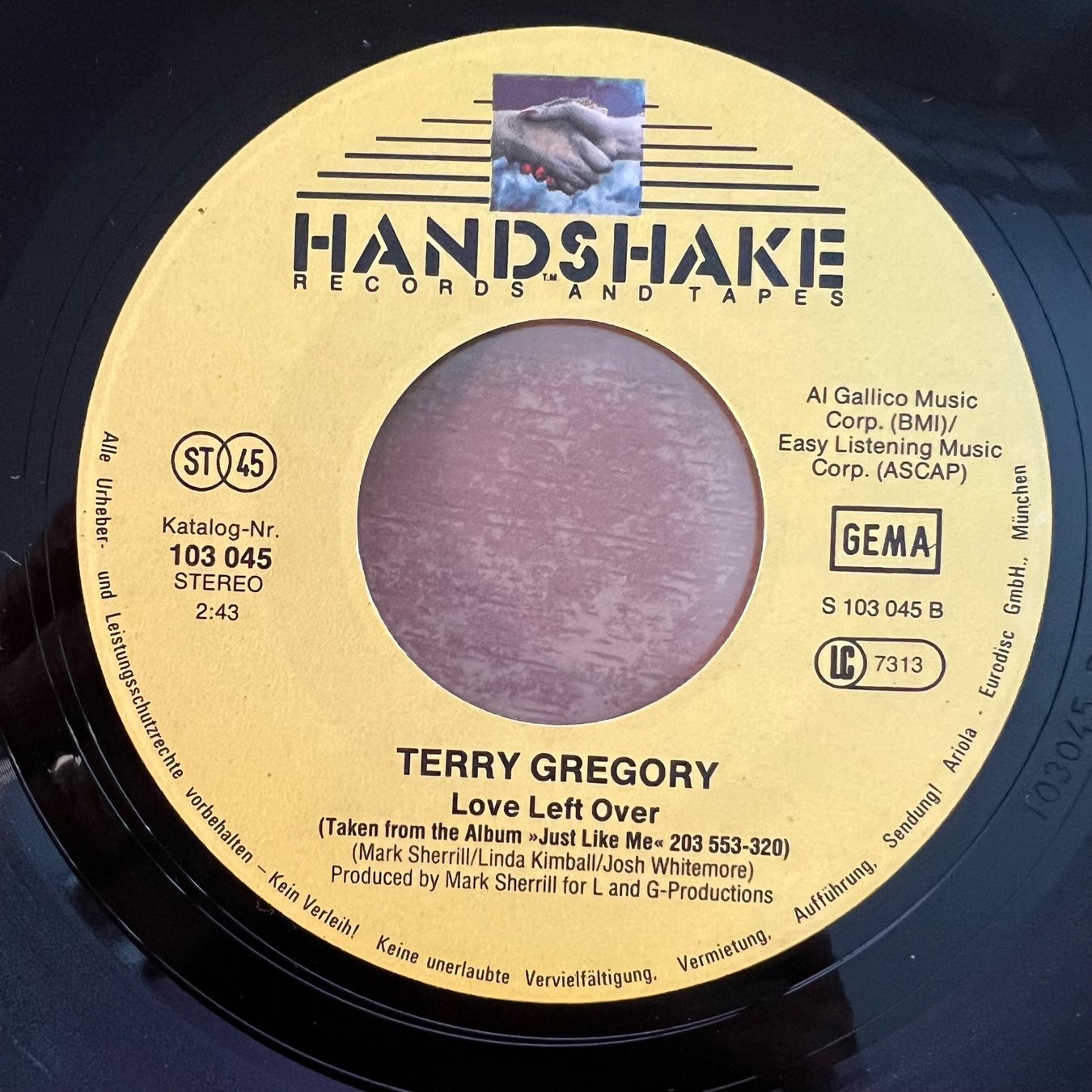 Dischi in vinile: Terry Gregory - Just Like Me / 1. D-Press. 1981 – Usato da Gais venduto da soundcave57 3
