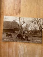 Carte postale ancienne Campagne Bernoise état occasion