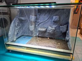 Regenwaldterrarium