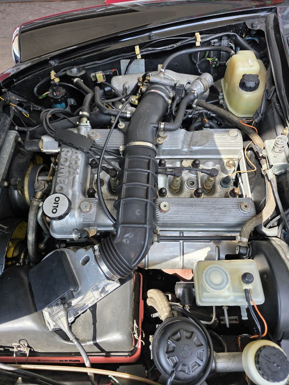 Alfa Romeo Automobili: Alfa Romeo Spider 4. Serie – Usato da Zürich venduto da Sekou1 9