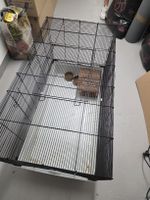 Kleintierkäfig mit Zubehör gebraucht