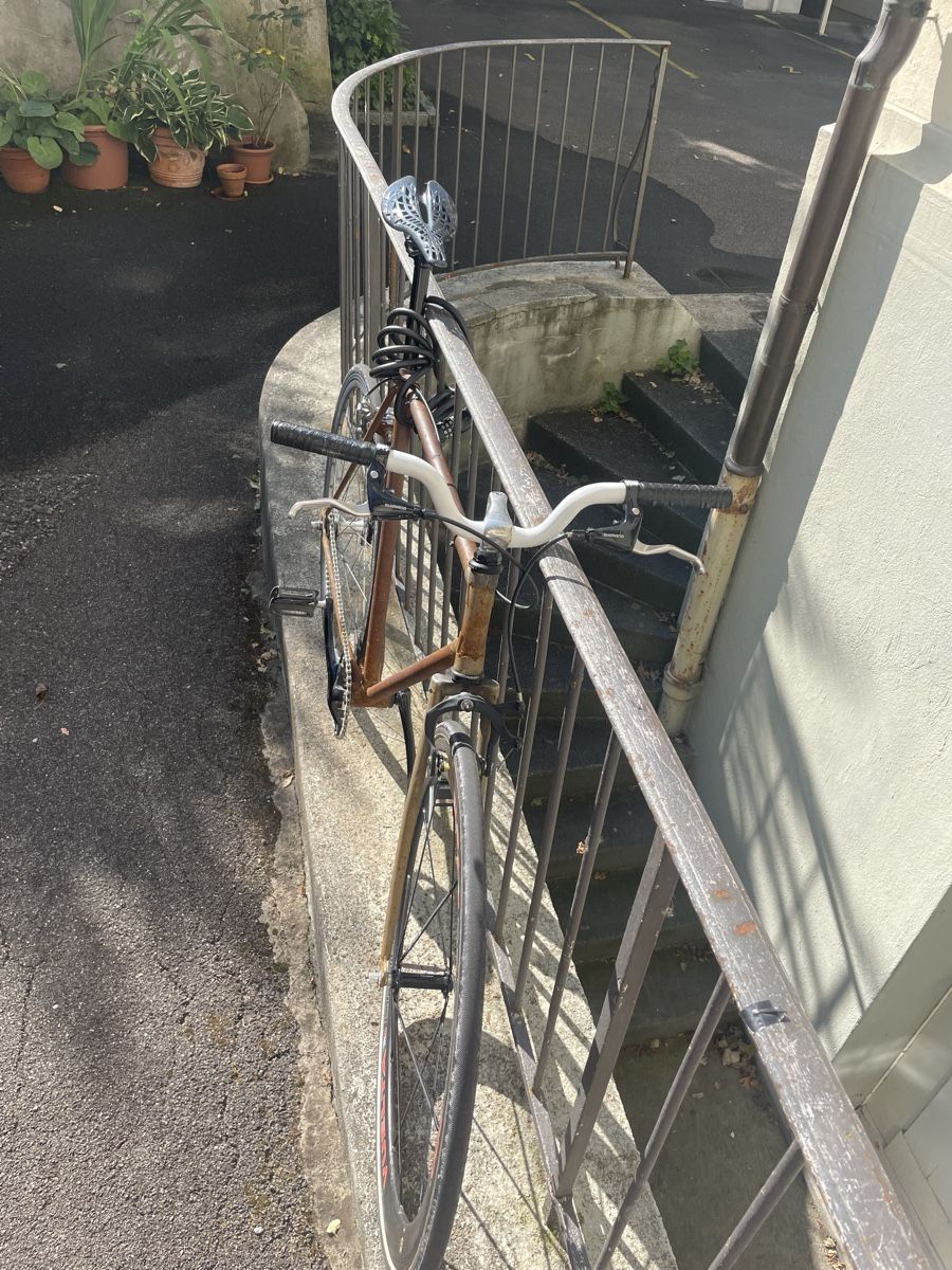 Velos: Singlespeed/Fixie – Gebraucht aus Zürich von alf_mq8m 1
