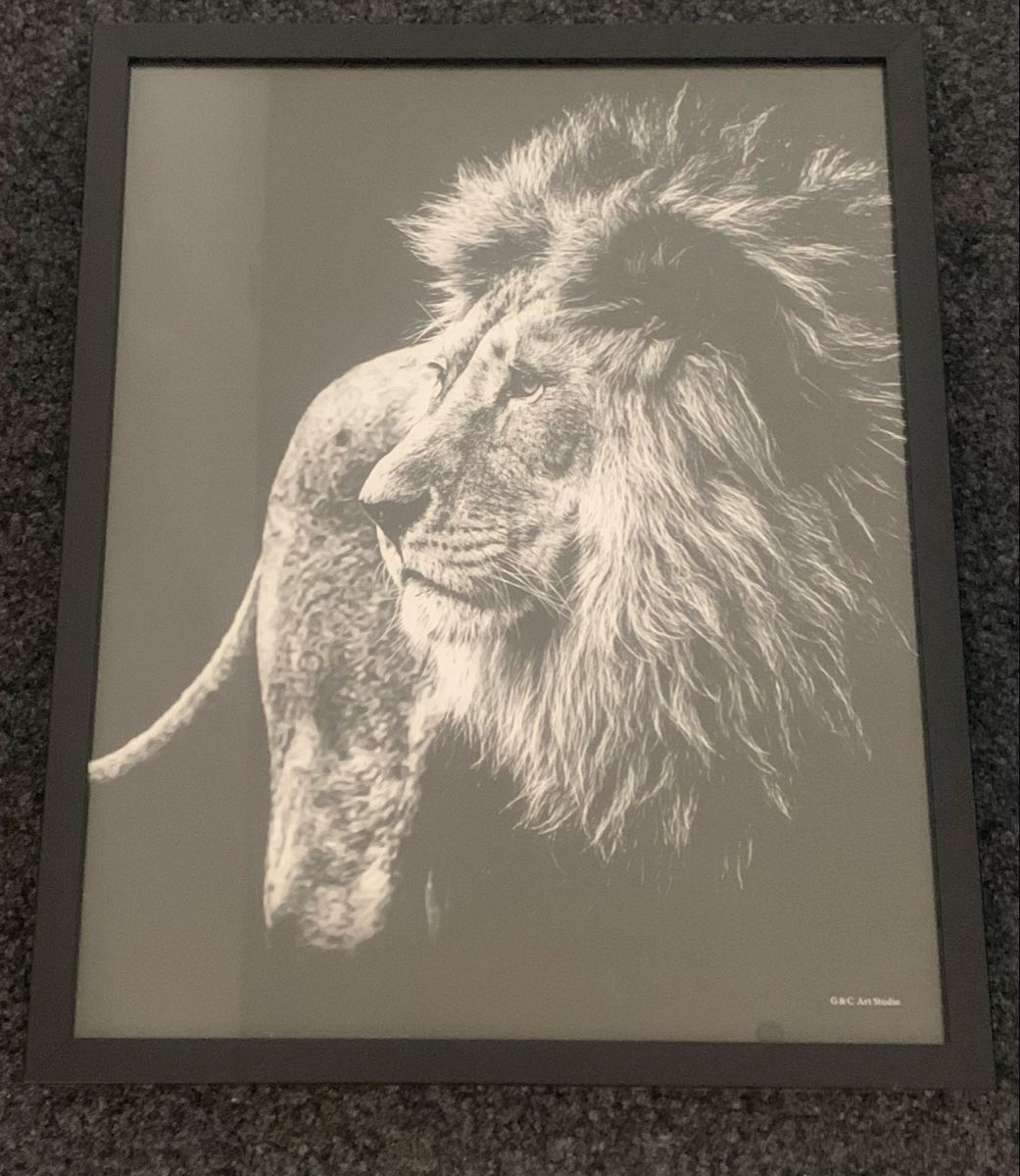 Posters & Illustrations: Bild Löwe – D'occasion à Birmenstorf AG par MartiniRacing