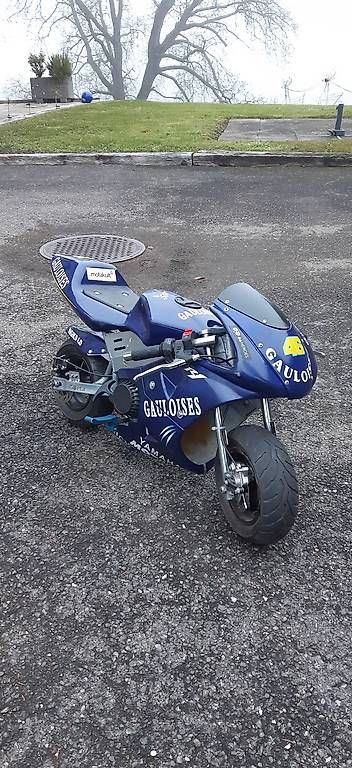 Mini Bike: Pocket Bike mit fast neuem Motor – Usato da Gunten venduto da chr_5zpy 1