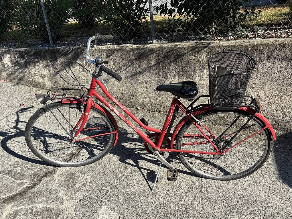 Vélos: Bici  Belvelo – D'occasion à Castione par lea_lvc2