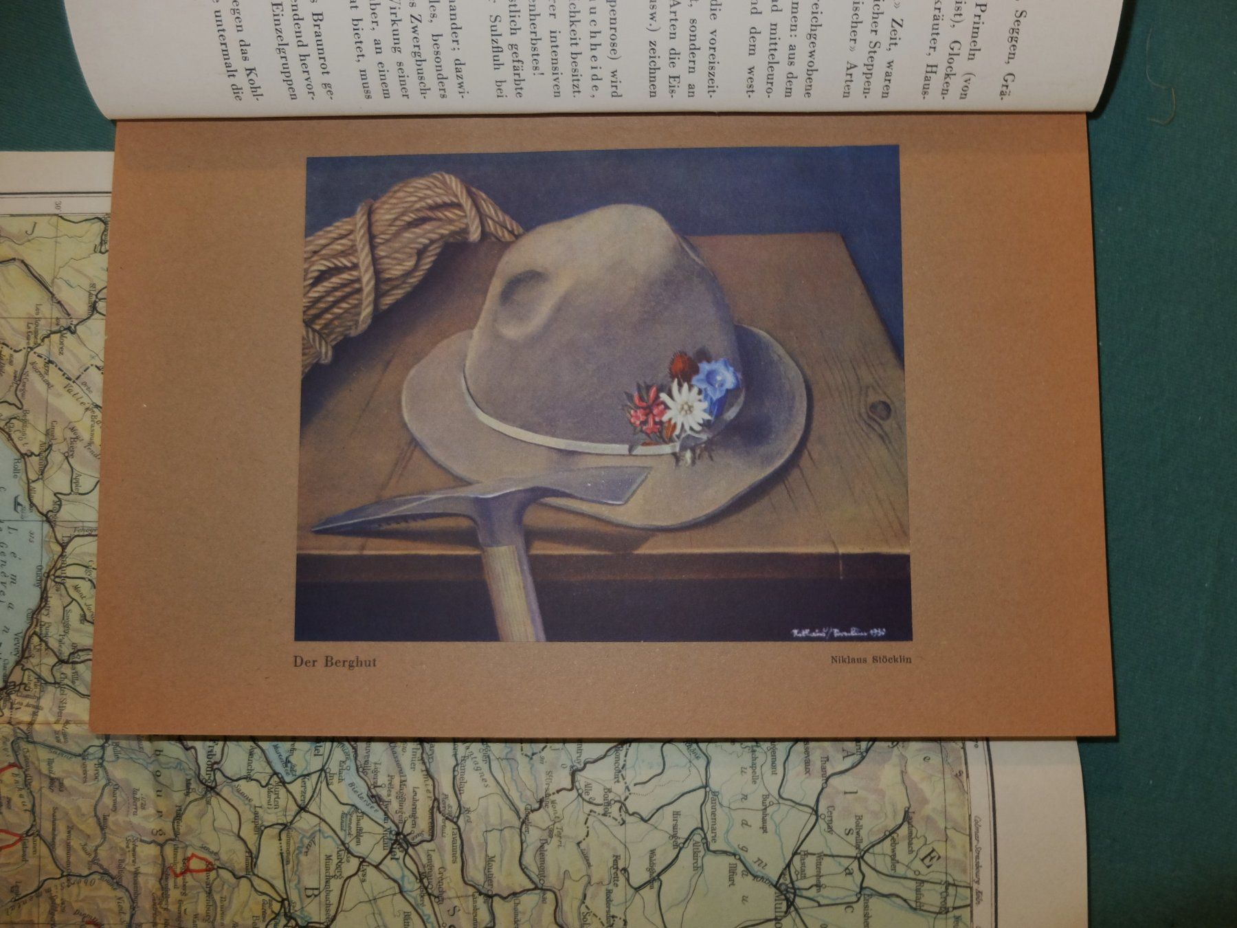 Livres: Alpenbuch – D'occasion à Wangs par Rumauch 5