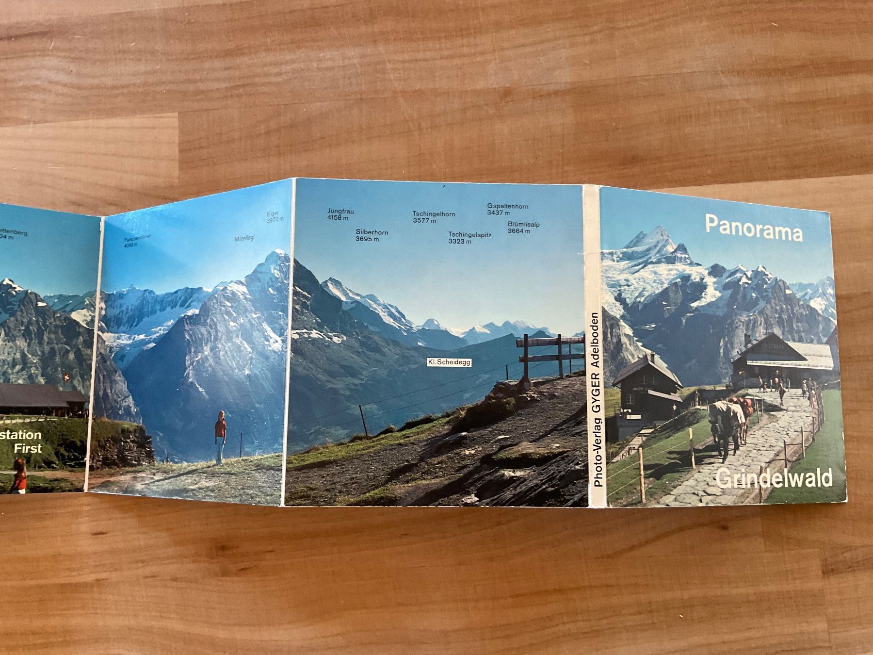 Cartes postales: Panorama Grindelwald – D'occasion à Rümlang par euqinom16 1