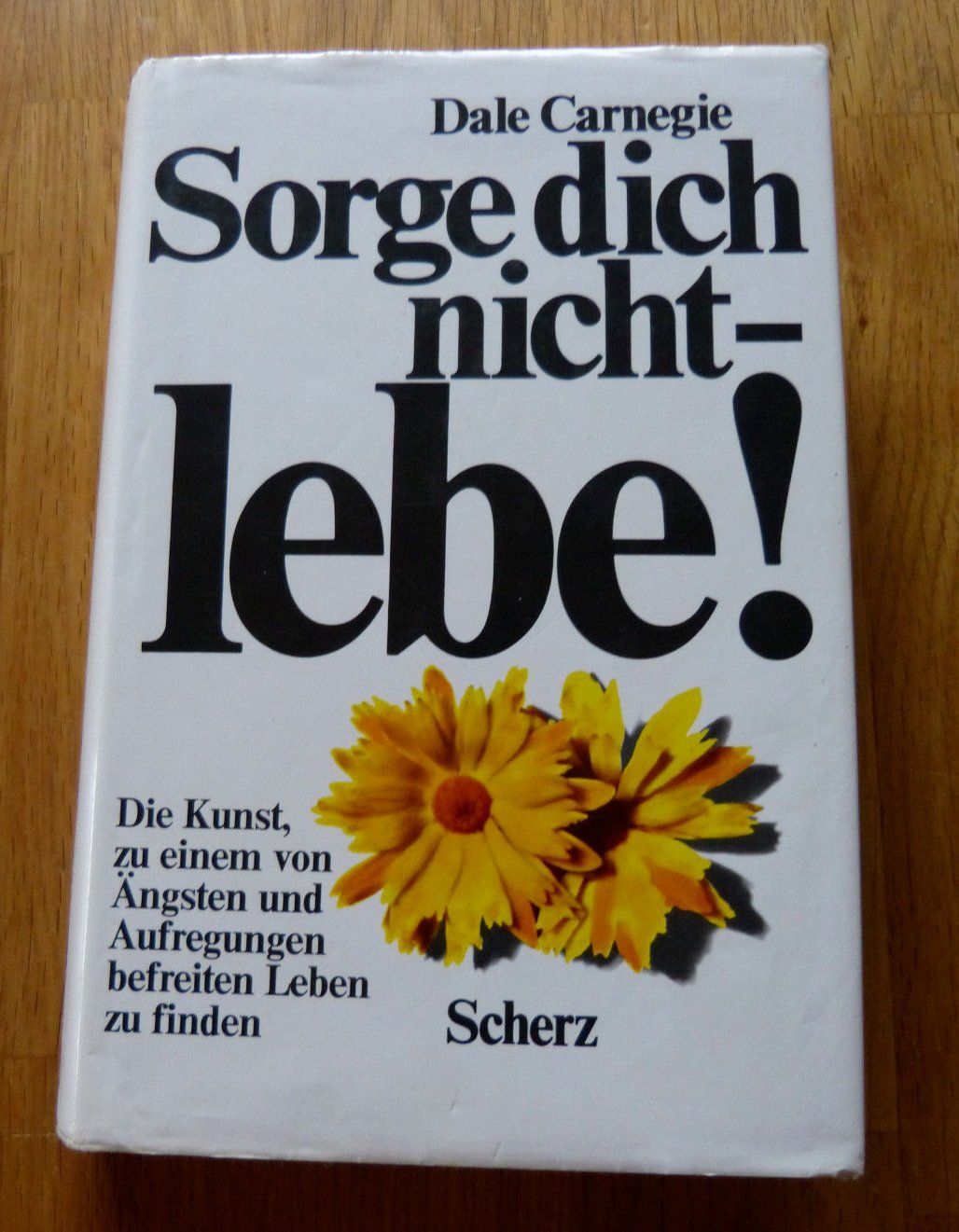 Libri: Dale Carnegie - Sorge dich nicht - lebe ! – Usato da Egnach venduto da ASTROFRITZ