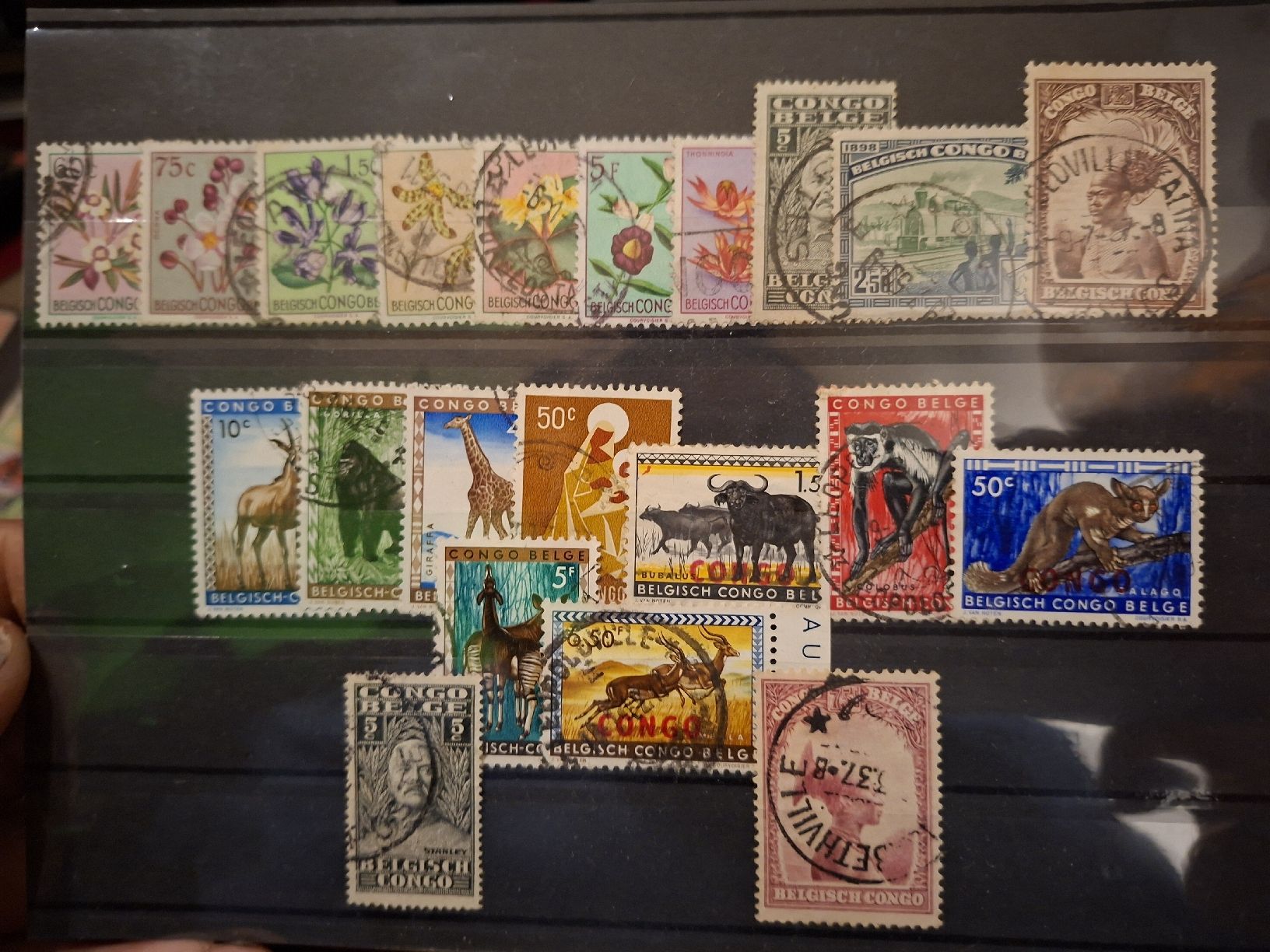 Tutti i francobolli: Belgisch - Congo Motiv Marken  – Usato da Balgach venduto da SIMEON27 2
