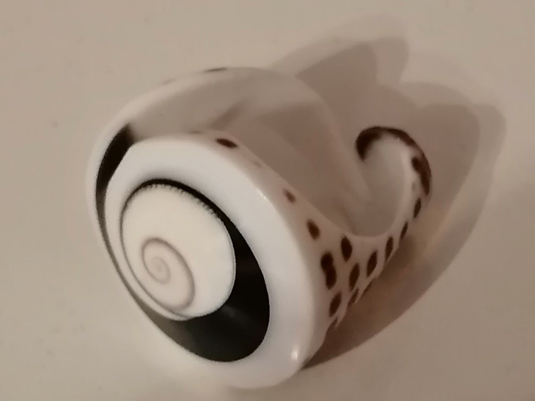 Anelli: Toller  Boho Muschel Ring – Usato da Nunningen venduto da mochflo 3