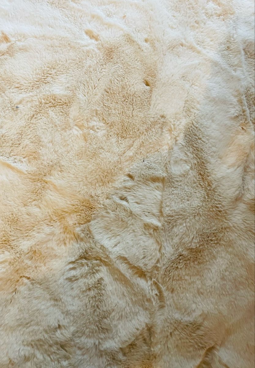 Tappeti: Flauschiger Teppich in Creme - Kuschelig! – Usato da Au ZH venduto da Jaggy4 3