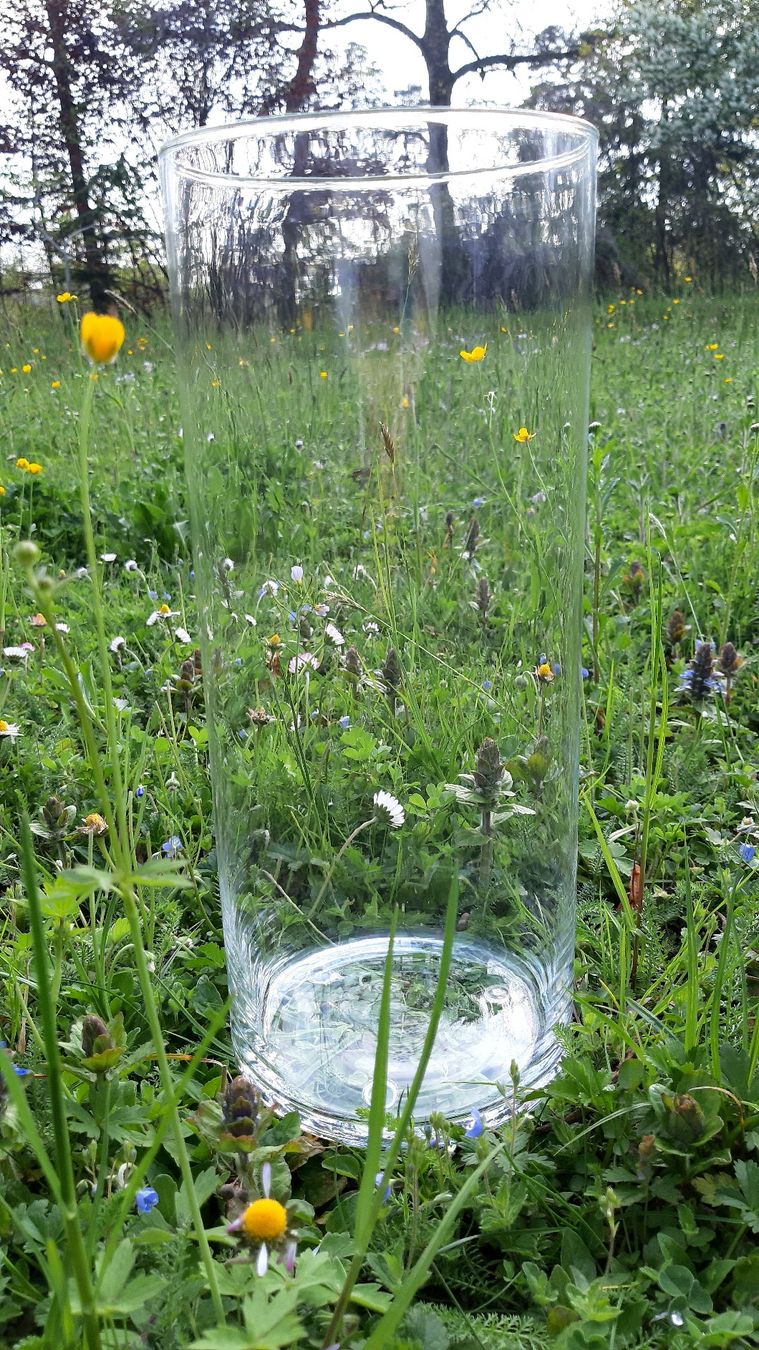 Vasi & Recipienti: Grosse Sammel-Glas/VASE – Nuovo (secondo la descrizione) da Kirchberg BE venduto da CZ09