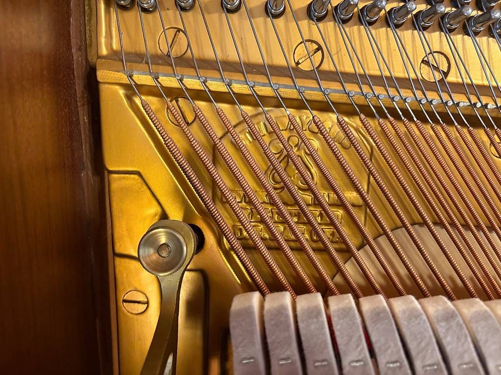 Strumenti musicali: STEINWAY & SONS V-125 Modell in Nussbaum – Usato da Neuenhof venduto da bkolarov 1