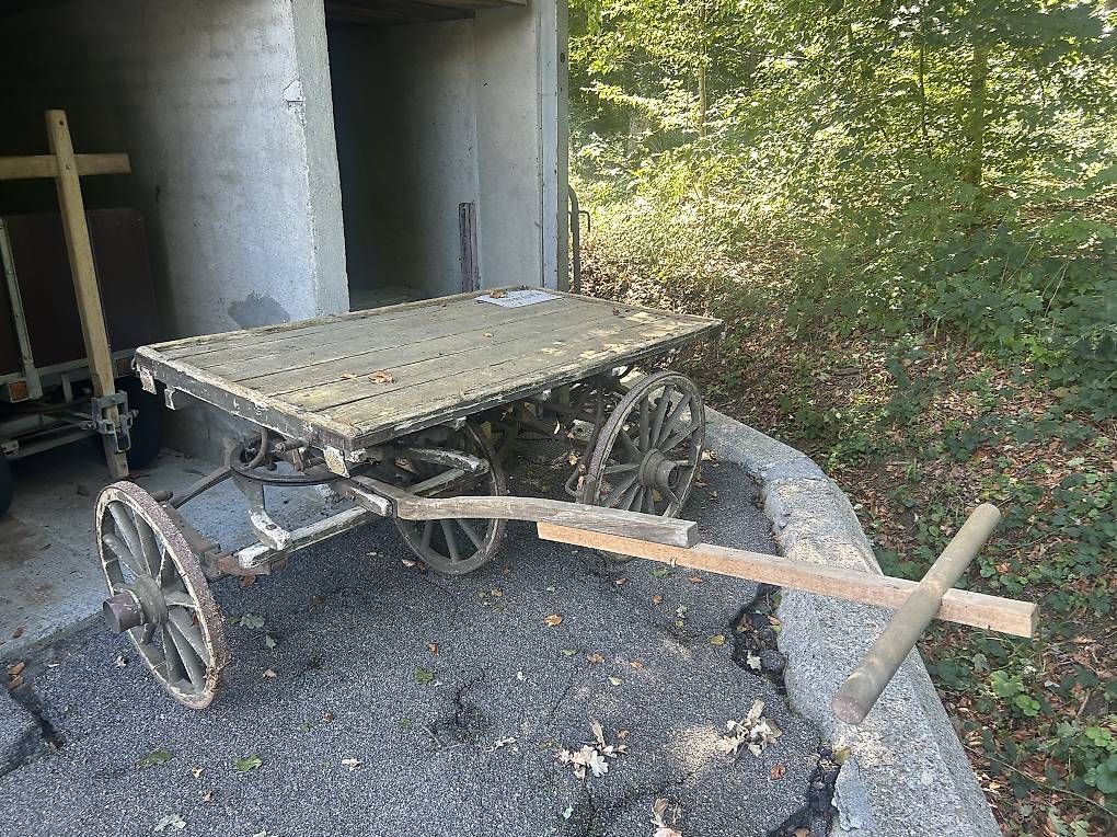 Carrozze: Antiker Pferdewagen  – Usato da Winterthur venduto da Campos1