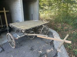 Antiker Pferdewagen 