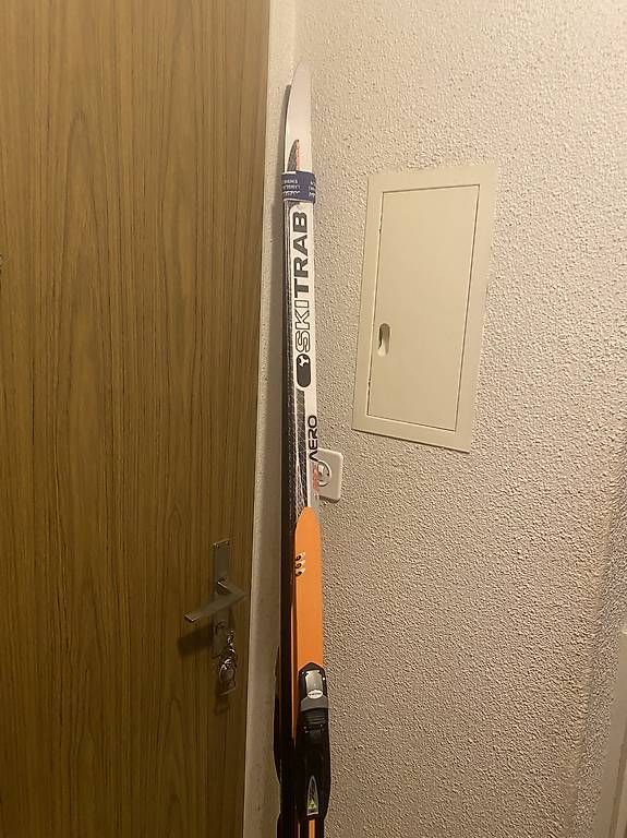 Sci: Ski skating  – Usato da Saignelégier venduto da Jeanno76