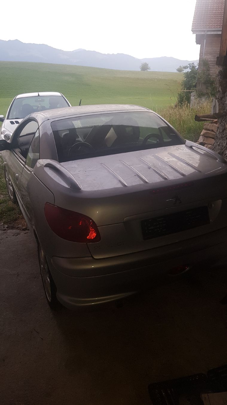 Peugeot Autos: Peugeot 206 CC 1.6l – Defekt aus Gommiswald von allen_b